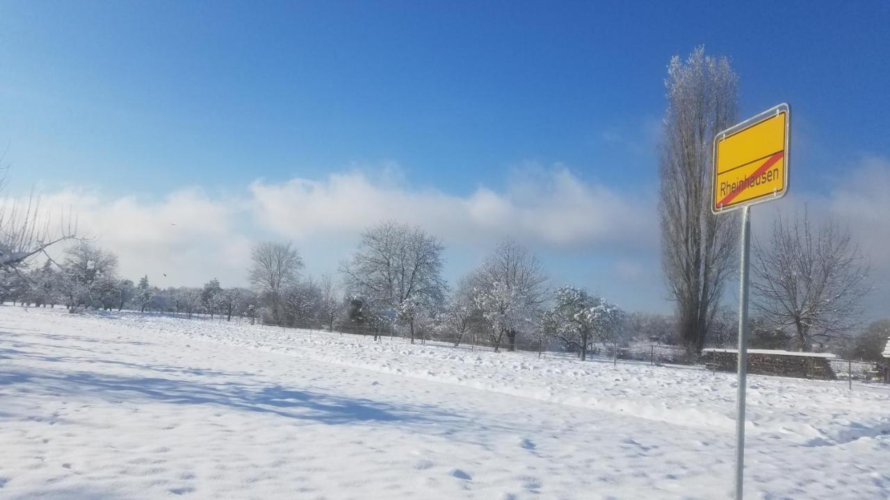 Ferienwohnung Sonnenschein Rheinhausen Bagian luar foto
