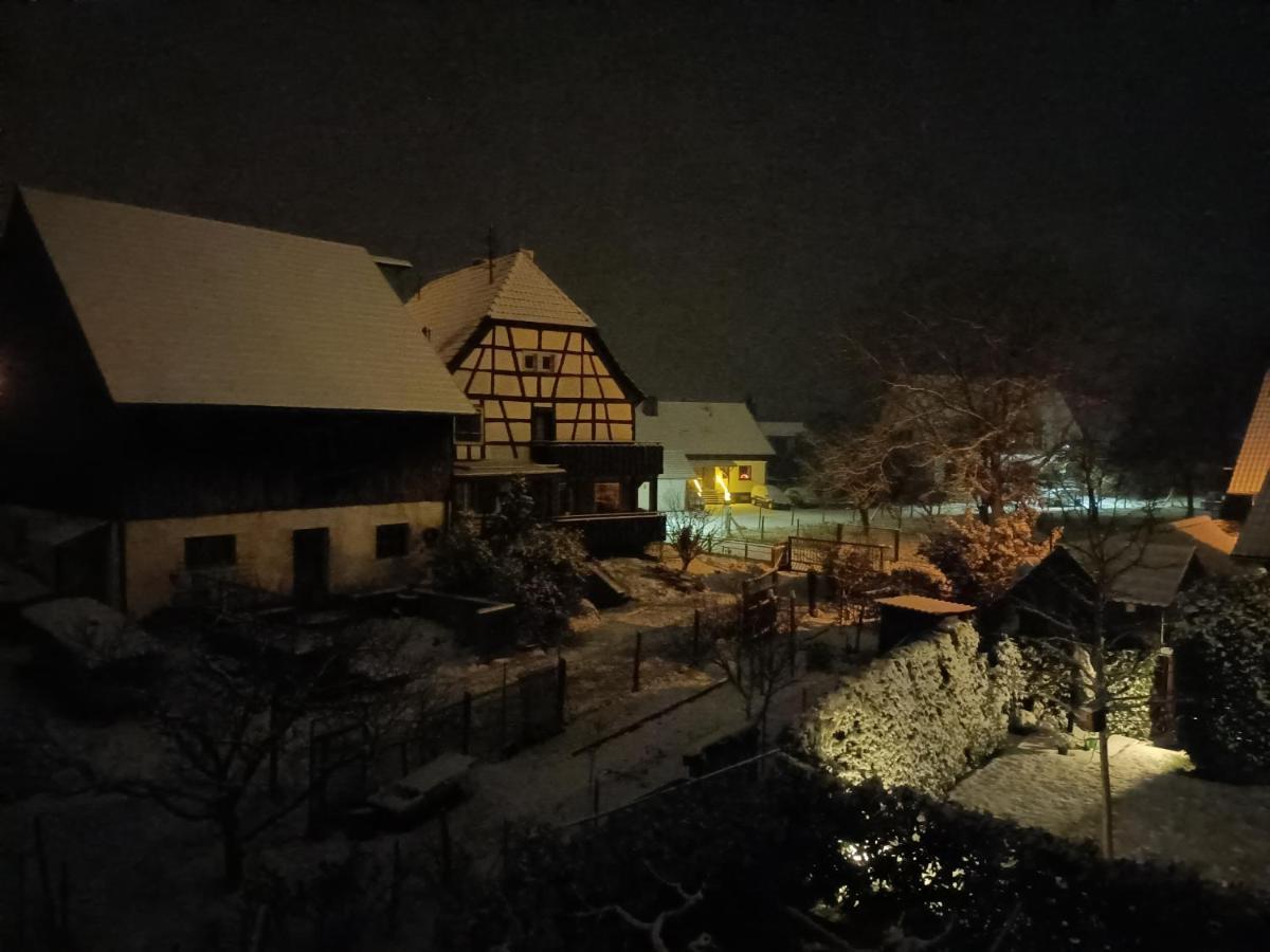 Ferienwohnung Sonnenschein Rheinhausen Bagian luar foto