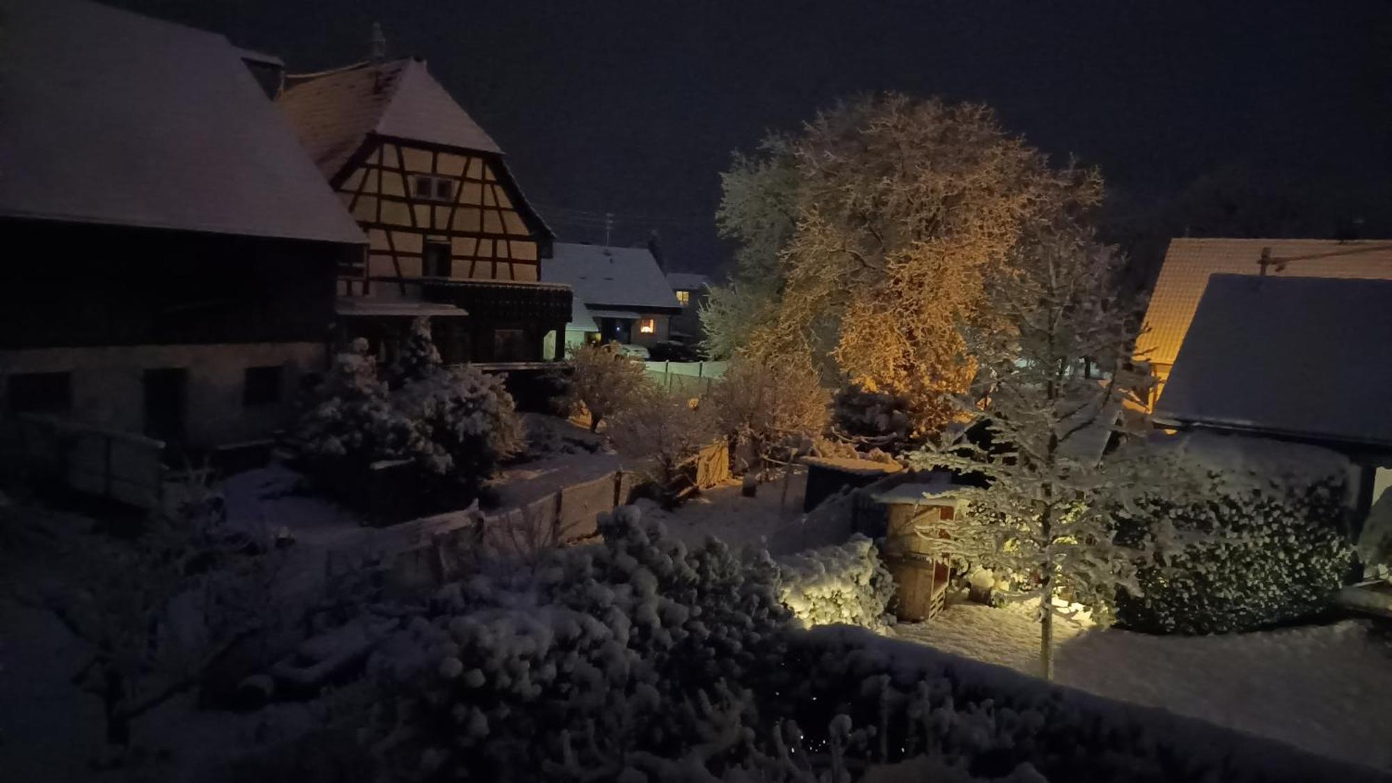 Ferienwohnung Sonnenschein Rheinhausen Bagian luar foto
