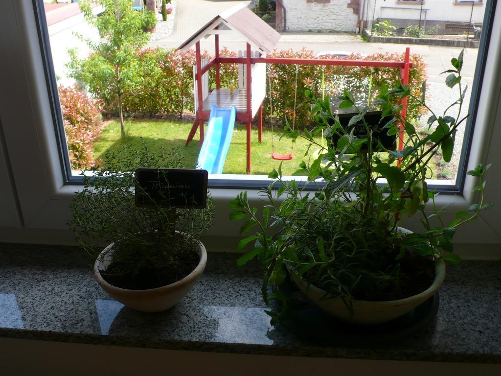 Ferienwohnung Sonnenschein Rheinhausen Bagian luar foto