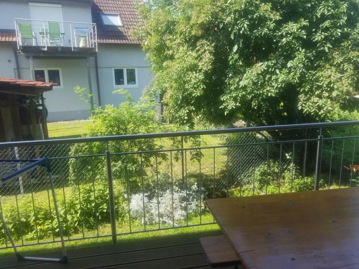 Ferienwohnung Sonnenschein Rheinhausen Bagian luar foto